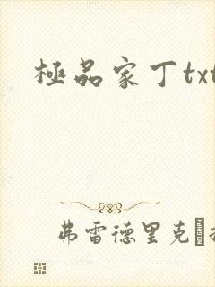 极品家丁txt