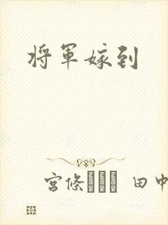 将军嫁到