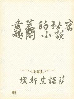 黄蓉的秘密 笔趣阁 小说