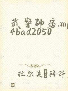 武警帅痞.mp4bad2050
