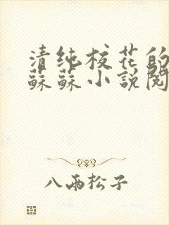 清纯校花的日常苏苏小说阅读全文