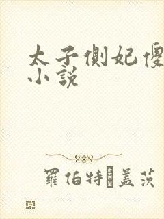 太子侧妃傻乎乎小说