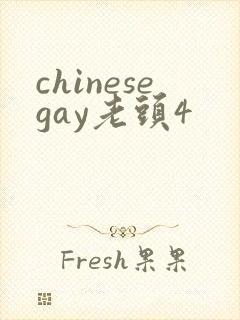 chinesegay老头4