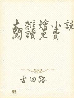 大杂烩小说全集阅读免费