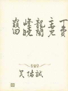 巅峰龙主丁长顺田晓兰免费阅读