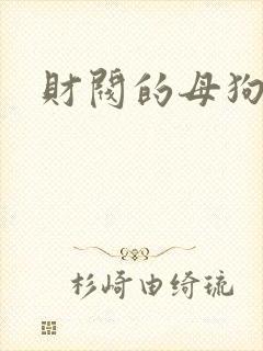 财阀的母狗们