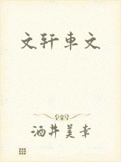 文轩车文