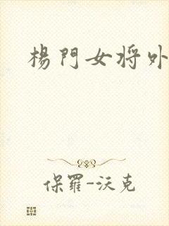 杨门女将外传