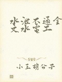 水泄不通金银原文水电工