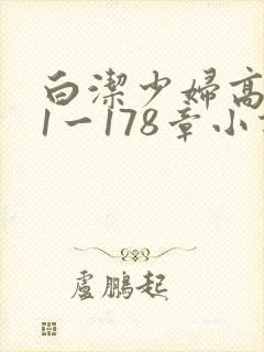 白洁少妇高义第1一178章小说