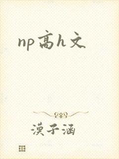 np高h文
