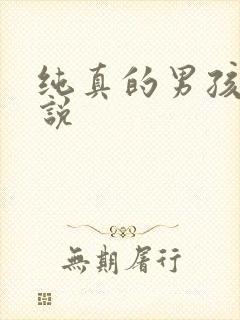 纯真的男孩子小说