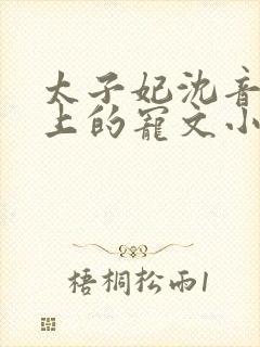 太子妃沈音和皇上的宠文小说