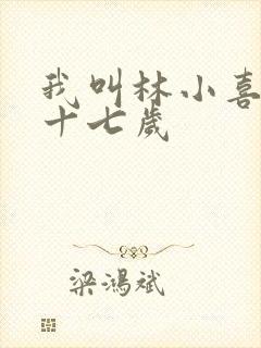 我叫林小喜今年十七岁