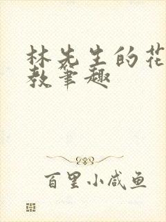 林先生的花式管教笔趣