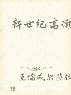 新世纪高潮战队