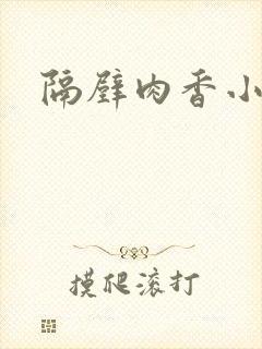 隔壁肉香小说