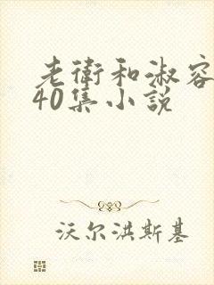 老卫和淑容1-40集小说