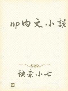 np肉文小说