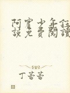 阿宾少年钰慧小说免费阅读笔趣阁