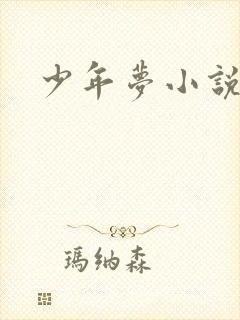 少年梦小说