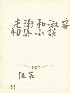 老卫和淑容1-40集小说