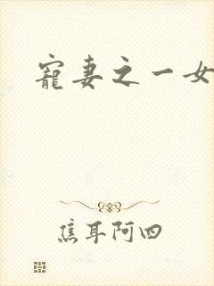 宠妻之一女二夫