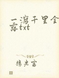 一泻千里金银花露txt