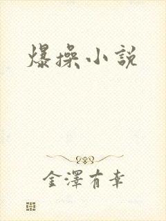 爆操小说