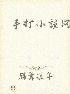 手打小说网