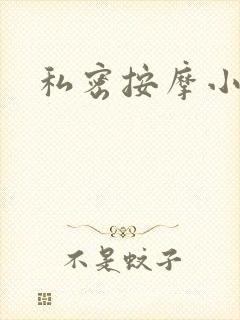 私密按摩小说