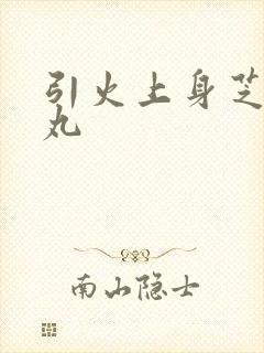 引火上身芝麻糖丸