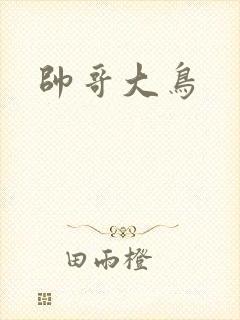 帅哥大鸟