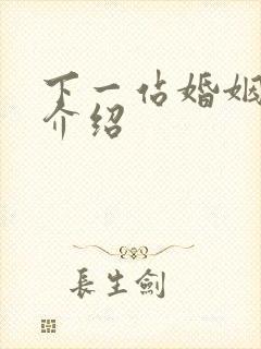 下一站婚姻剧情介绍