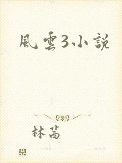 风云3小说