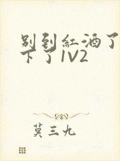 别到红酒了装不下了1V2