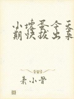 小坏蛋今天危险期快拔出来