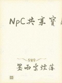NpC共享宝贝