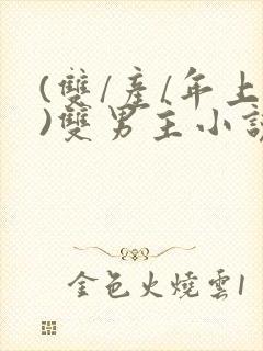 (双/产/年上)双男主小说