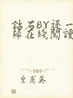 钻石BY逐一而归在线阅读