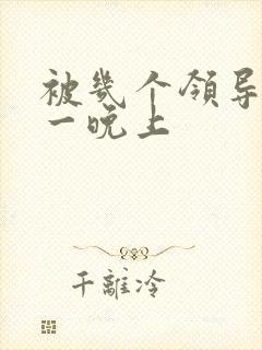 被几个领导玩弄一晚上