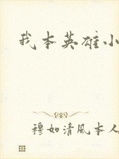 我本英雄小说