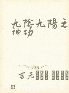 九阴九阳之阴阳神功