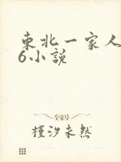 东北一家人1一6小说