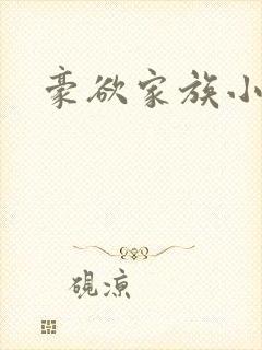 豪欲家族小说