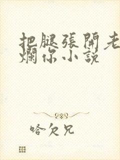 把腿张开老子臊烂你小说