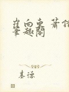 崔向东 萧错 笔趣阁