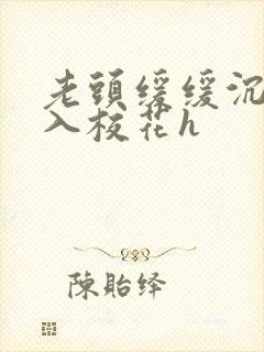 老头缓缓沉腰进入校花h