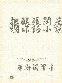 把腿张开老子臊烂你的小说