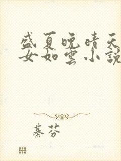 盛夏晚晴天之美女如云小说